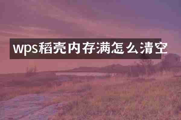 wps稻壳内存满怎么清空