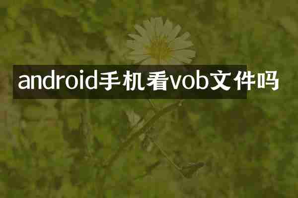 android手机看vob文件吗