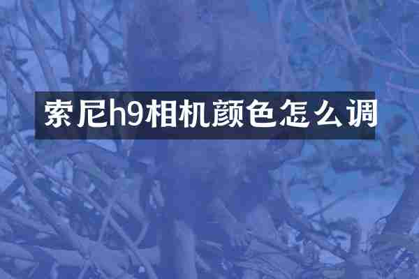 h9相机颜色怎么调