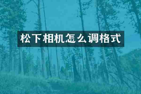 相机怎么调格式