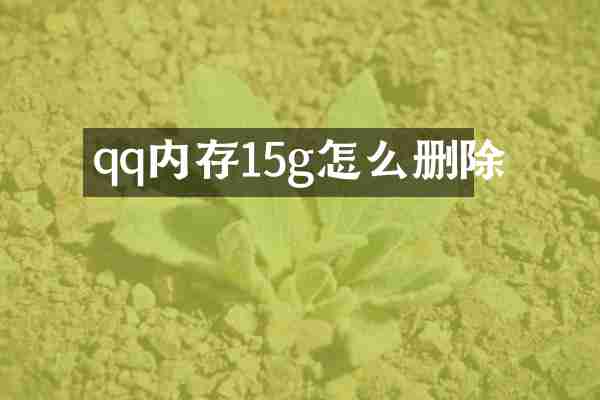 qq内存15g怎么删除