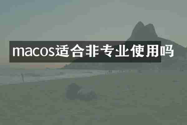 macos适合非专业使用吗