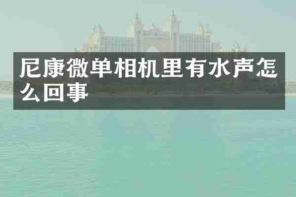 尼康微单相机里有水声怎么回事