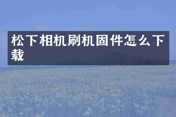 相机刷机固件怎么下载