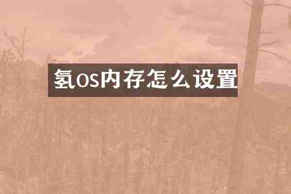 氢os内存怎么设置