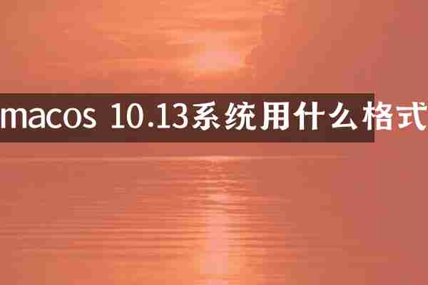 macos 10.13系统用什么格式