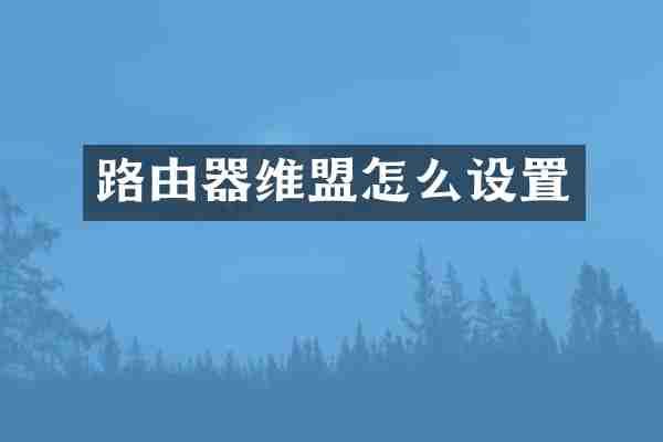 路由器维盟怎么设置