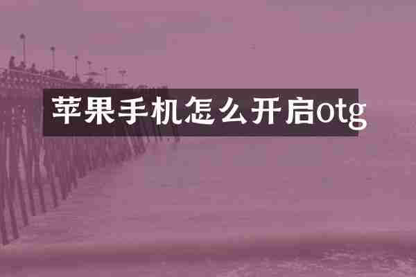 苹果手机怎么开启otg