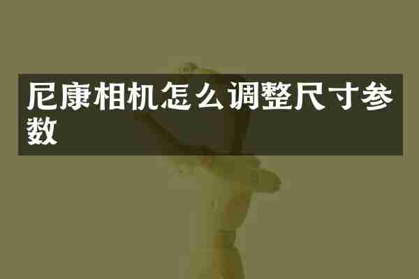 尼康相机怎么调整尺寸参数