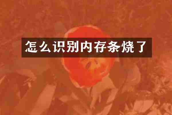 怎么识别内存条烧了