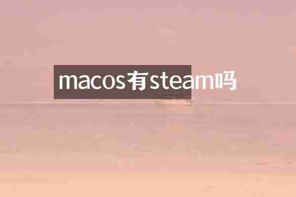 macos有steam吗