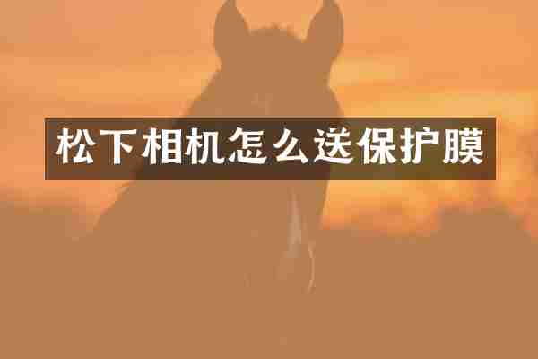 松下相机怎么送保护膜