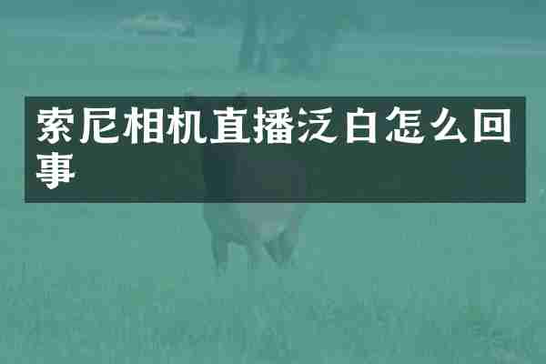索尼相机直播泛白怎么回事