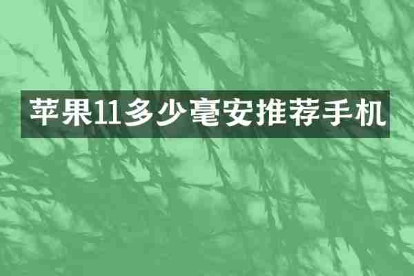 苹果11多少毫安推荐手机