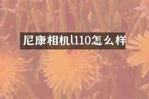 尼康相机l110怎么样