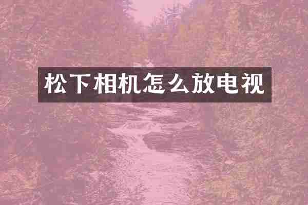 松下相机怎么放电视