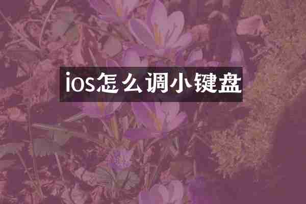 ios怎么调小键盘