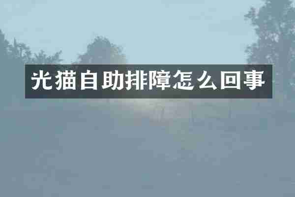 光猫自助排障怎么回事