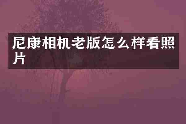尼康相机老版怎么样看照片
