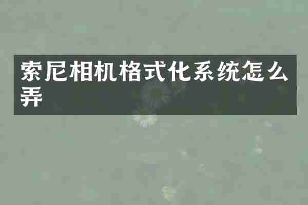 索尼相机格式化系统怎么弄