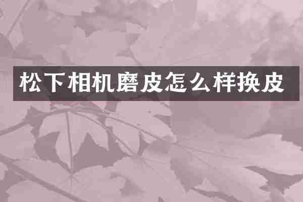 松下相机磨皮怎么样换皮