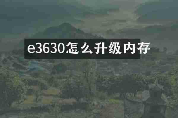 e3630怎么升级内存