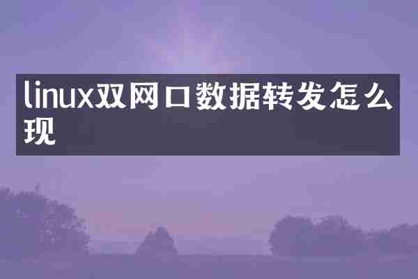 linux双网口数据转发怎么实现