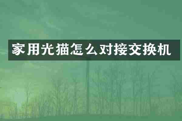 家用光猫怎么对接交换机