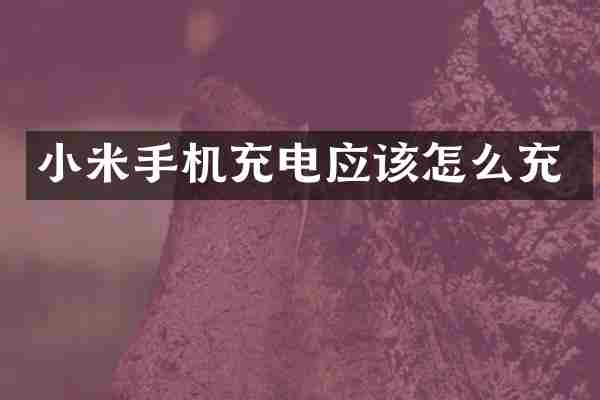 小米手机充电应该怎么充