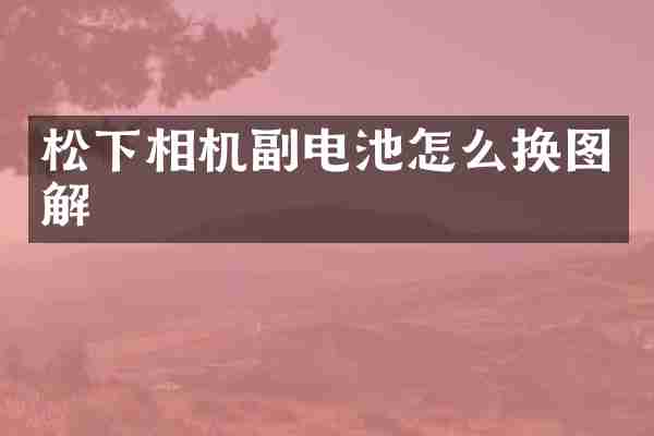 松下相机副电池怎么换图解
