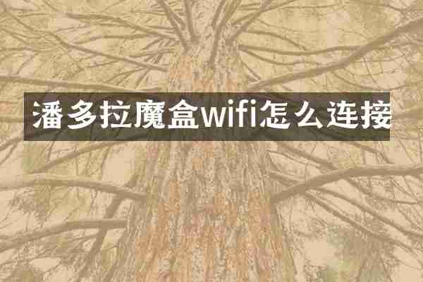 潘多拉魔盒wifi怎么连接