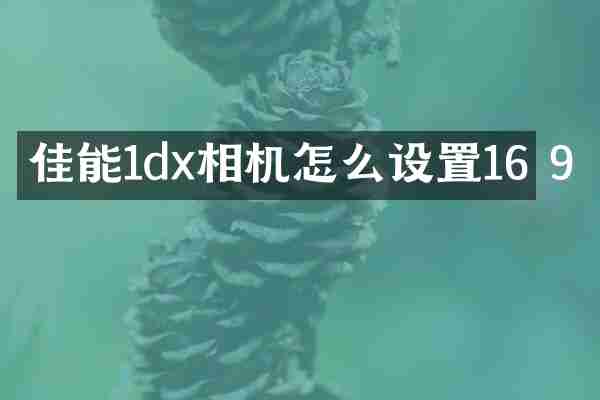 佳能1dx相机怎么设置16 9