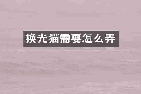 换光猫需要怎么弄