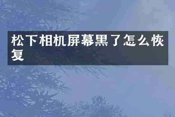 相机屏幕黑了怎么恢复