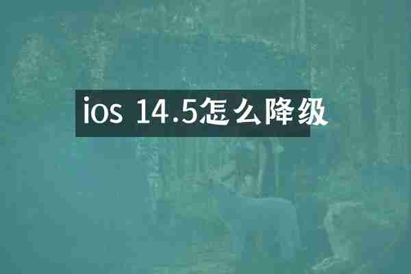ios 14.5怎么降级