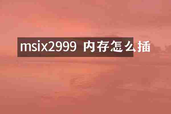 msix2999 内存怎么插