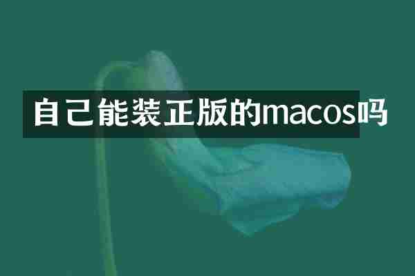 自己能装正版的macos吗