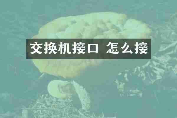交换机接口 怎么接