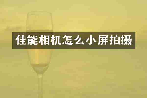 佳能相机怎么小屏拍摄