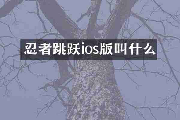 忍者跳跃ios版叫什么