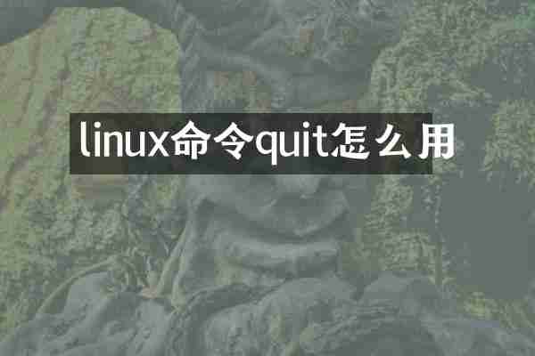 linux命令quit怎么用