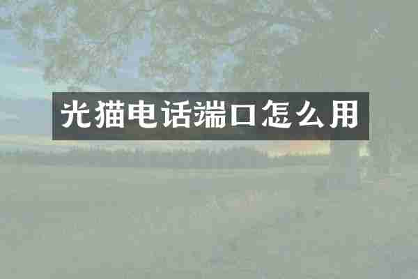 光猫电话端口怎么用