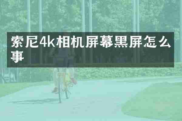 4k相机屏幕黑屏怎么回事