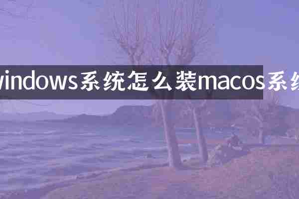 windows系统怎么装macos系统