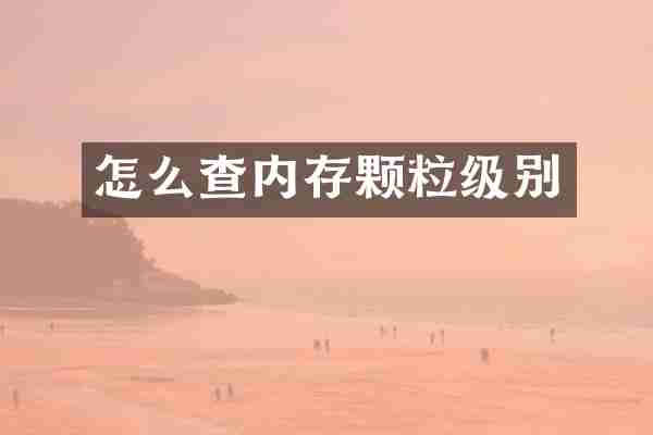 怎么查内存颗粒级别