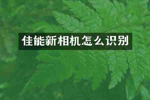 佳能新相机怎么识别