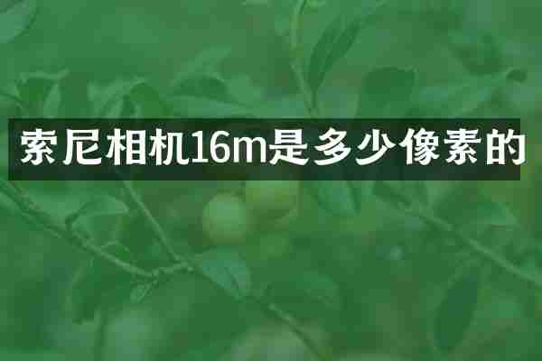 相机16m是多少像素的