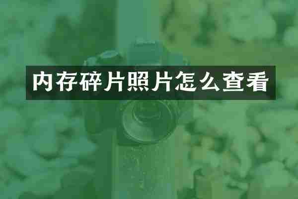 内存碎片照片怎么查看