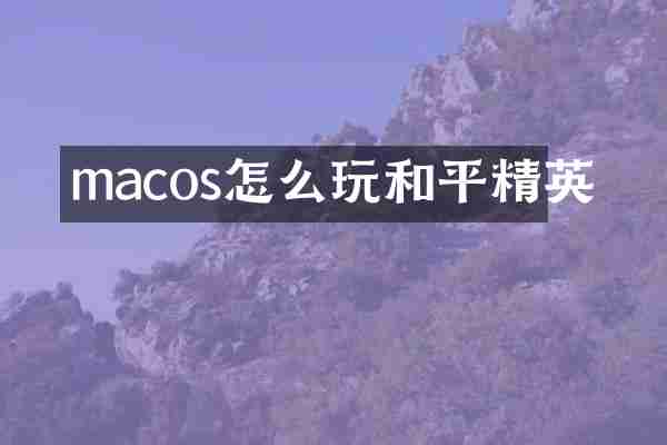 macos怎么玩和平精英