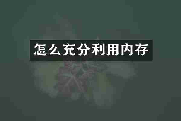 怎么充分利用内存